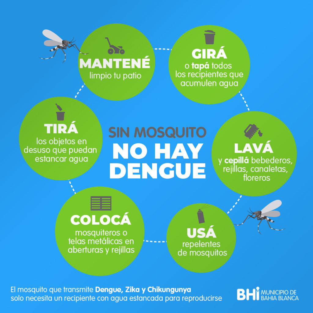 Consejos Finales y Recomendaciones