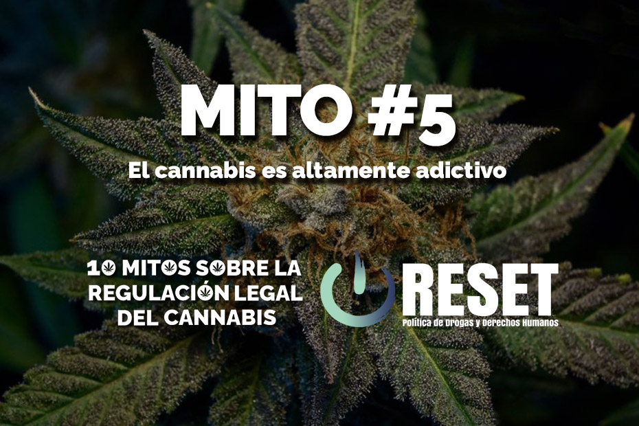 Mito #5: "Las limpiezas dentales profesionales no son importantes"