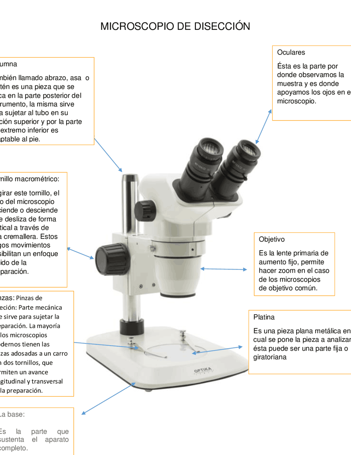 Uso de Microscopios Dentales