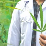 El CBD, beneficios del cannabinoide terapéutico