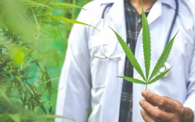 CBD legal ofrece una salud integral médico