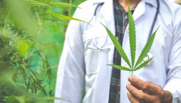 CBD legal ofrece una nueva mirada a la salud integral 2 CBD legal ofrece una salud integral médico