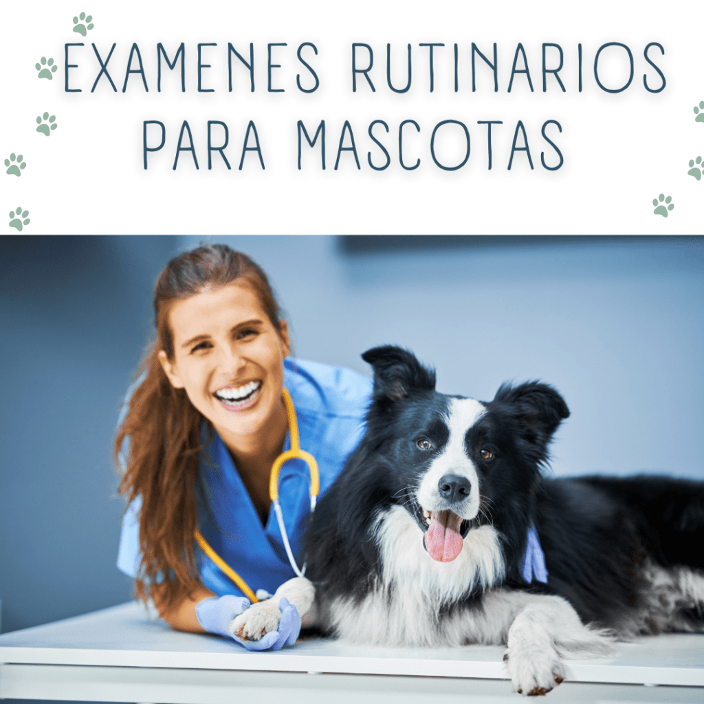 ¿Cuándo buscar ayuda profesional?