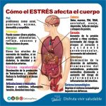 Cómo el estrés puede causar enfermedades periodontales
