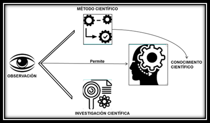 El Proceso de Obtención: Pasos a Seguir