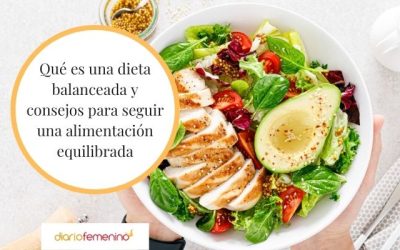 laimportanciadeunadietabalanceadaparatusdi