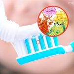 La importancia de cambiar tu cepillo de dientes regularmente